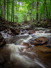 Waterfall on river Ilse in forest Harz, Germany
