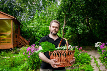 Naklejka na ściany i meble Portrait of a bearded male farmer with a basket full of ripe, fresh vegetables