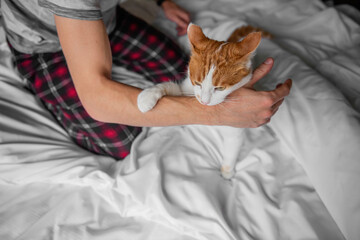 Rabid white-red cat furiously scratched, bit through the mans hand until it bled. Pet attack.