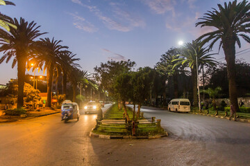 Evening view of a palm lined avenue in Bahir Dar, Ethiopia