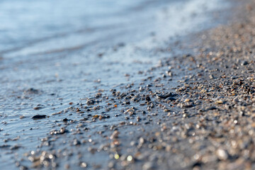 sandy beach dotted with small shells against the background of transparent sea water