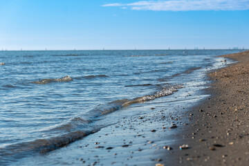 sandy beach dotted with small shells against the background of transparent sea water