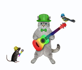 Fototapeta na wymiar An ashen cat in a green hat plays the colored acoustic guitar and singing a song. White background. Isolated.