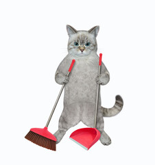 An ashen holds a broom and a dustpan. White background. Isolated.