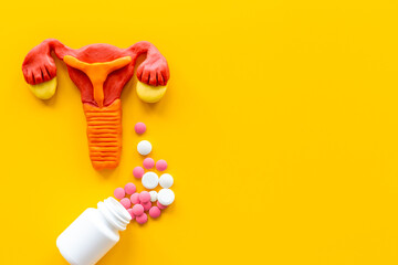 Model of female reproductive system with medical pills