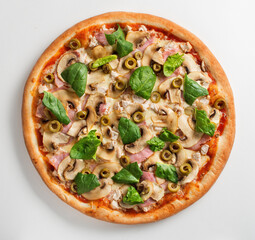 Pizza on a white background