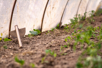 Closeup of a hoe in a greenhouse, agricultural tool