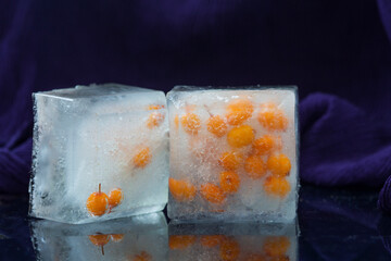 Frozen sea-buckthorn in ice cubes, copy space