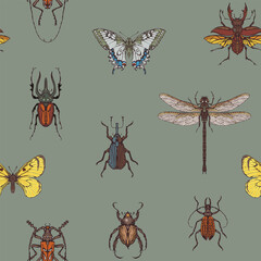 Vector seamless pattern with various hand-drawn insects. Repeating background with colored butterflies, beetles, dragonfly on a grey backdrop. Suitable for wallpaper, wrapping paper or fabric design