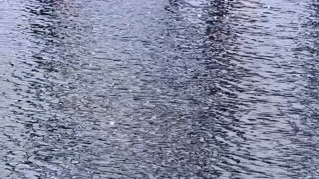 Glistening water ripples in slow motion. Clip loops seamlessly. Nature background.