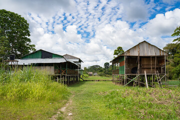 To the indigenous community of Gamboa next to the amazon river, Peru. typical architecture of the amazon