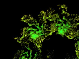 Imaginatory fractal abstract background Image