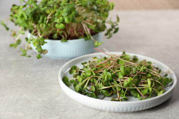 Plate with fresh radish microgreens on light grey table