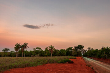Obraz premium Escurecer na área rural com céu alaranjado em Minas Gerais.