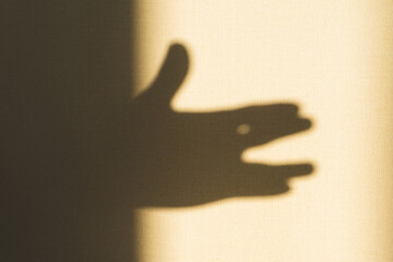 Shadow of hand showing gesture on the wall