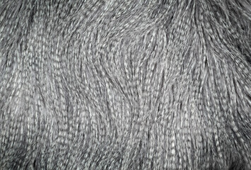 Abstract background of colorful black and white faux fur.