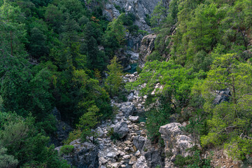 Fototapeta na wymiar wooded mountain canyon with a stream in a rocky bed, top view