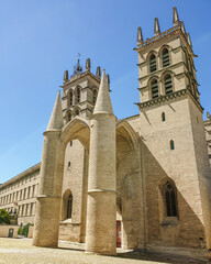Fototapeta na wymiar Cathédrale de Montpellier en été 