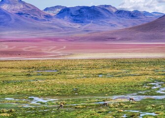 landscape with mountains