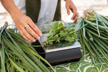 Weighing a bundle of basil on farm stand scale