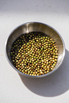 Pinch bowl with cilantro berries also called green coriander seeds
