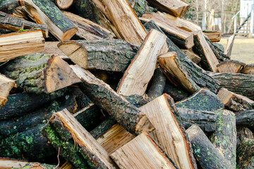 Industrial timber wood for carpentry, building or repairing, lumber material for roofing construction. stack natural chopped dry trunks, Fire logs prepared for winter, ready for burning