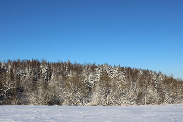 Winter landscape with trees and snow. Beautiful winter landscape with blue sky and snow covered field. Winter time.