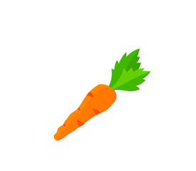 Carrot vector isolated icon. Emoji illustration. Carrot vector emoticon