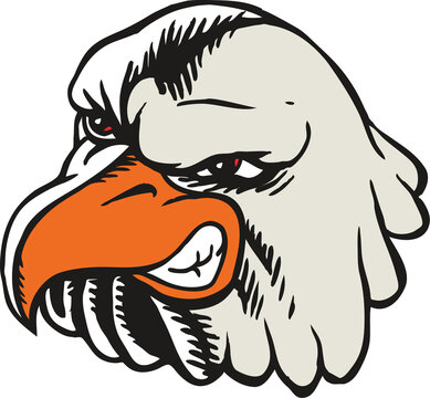 Eagle Mascot Head Tough Vector Illustration