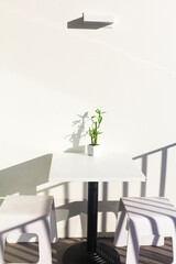 Small bamboo plant on white table and chairs with sunlight