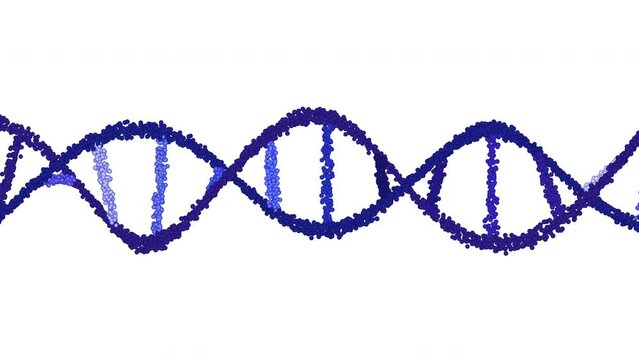 Blue DNA Animation Seamless Loops on White Background and Green Screen