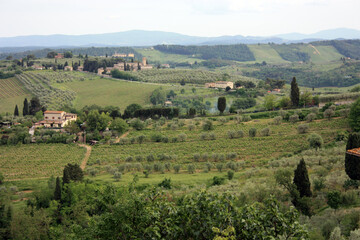 Fototapeta na wymiar valley of the Tuscan green fields
