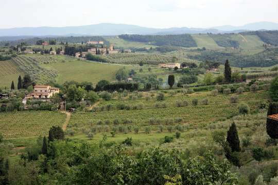 valley of the Tuscan green fields