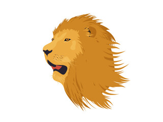 Lion illustration. Detailed lion head on a white background, flat design. Vector.