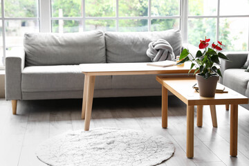 Anthurium flower on wooden table near sofa in light room