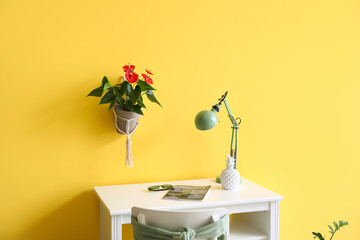 Modern workplace with magazine, sunglasses, lamp and Anthurium flower on color wall