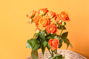 Vase with beautiful orange roses on table against color wall