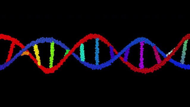 Colourful DNA Animation Seamless Loops on Black Background and Green Screen