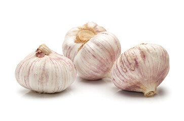 Obraz premium garlic isolated on white background