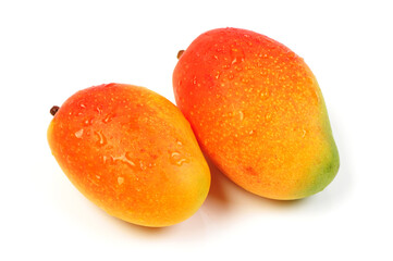 Mango on white background