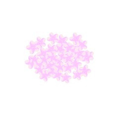 桜の花　満開　ピンク　花　春