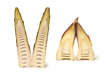 Bamboo shoot on the white background 