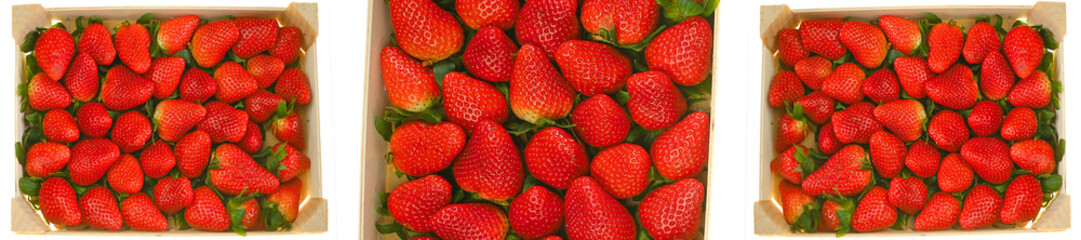 Strawberry box isolated on white background.berry banner with copy space.Strawberry harvest. Red strawberries in a wooden box isolated on white background.summer berries 