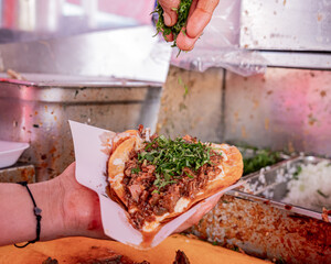 Exquisite quesadilla with birria Guadalajara style