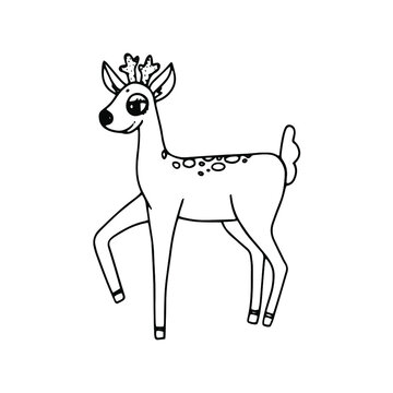 vector illustration linear drawing animal doodle little deer 