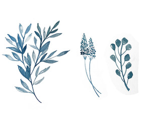 Leaves blue watercolor