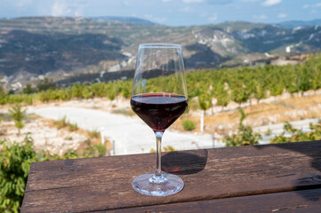 Wine industry of Cyprus island, tasting of red dry wine on winery with view on vineyards and south slopes of Troodos mountain range.