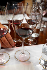 Red Brunello di Montalcino wine and olive oil tasting tour in cantina near Montalcino Tuscany, Italy