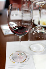 Red Brunello di Montalcino wine and olive oil tasting tour in cantina near Montalcino Tuscany, Italy