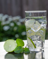 Fresh Water with Lime and Mint on Ice Out in the Garden